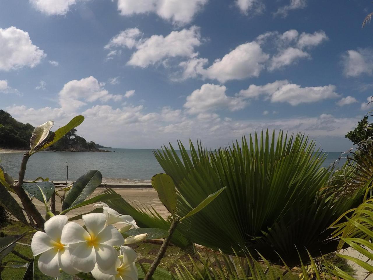 Dolphin Bay Beach Resort Ко Панган Екстериор снимка